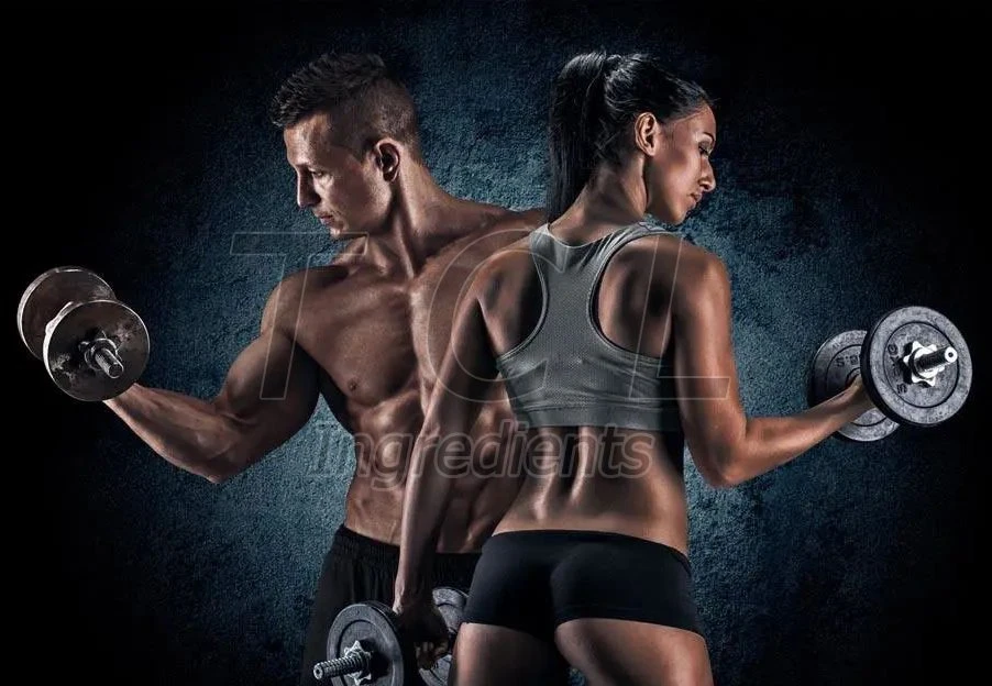  best tribulus powder